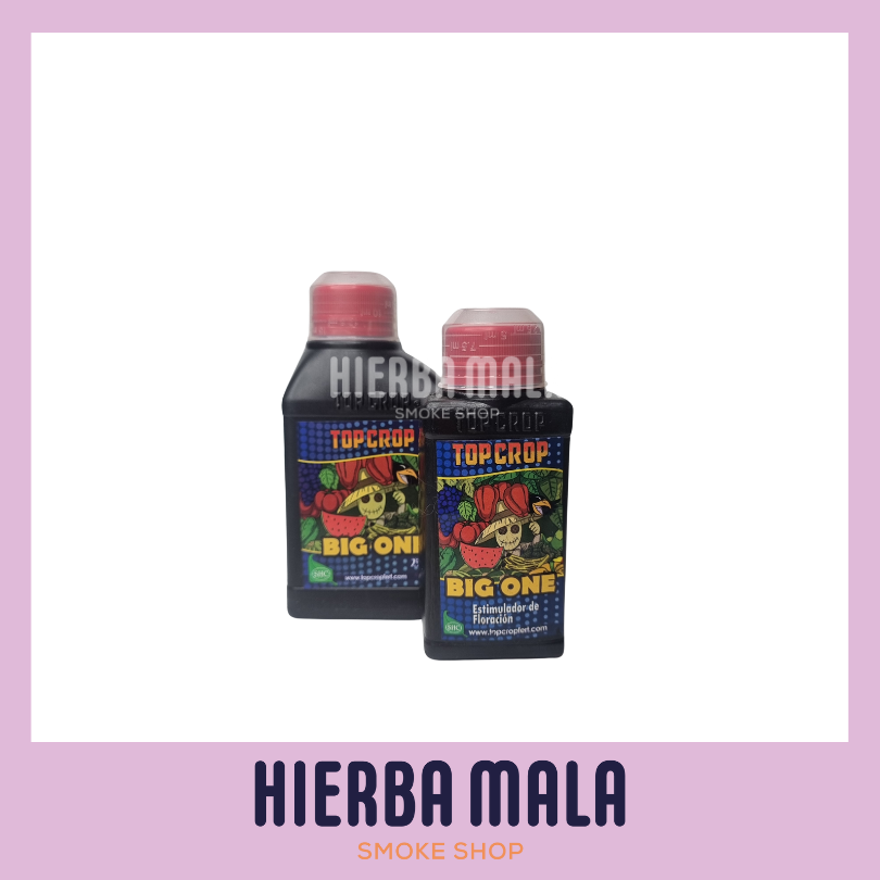 TOP CROP - BIG ONE BIOESTIMULANTE 100ML (100 ML)
